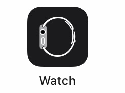 【Apple WatchでのLINE使用方法】便利な実体験と合わせて分かりやすく解説